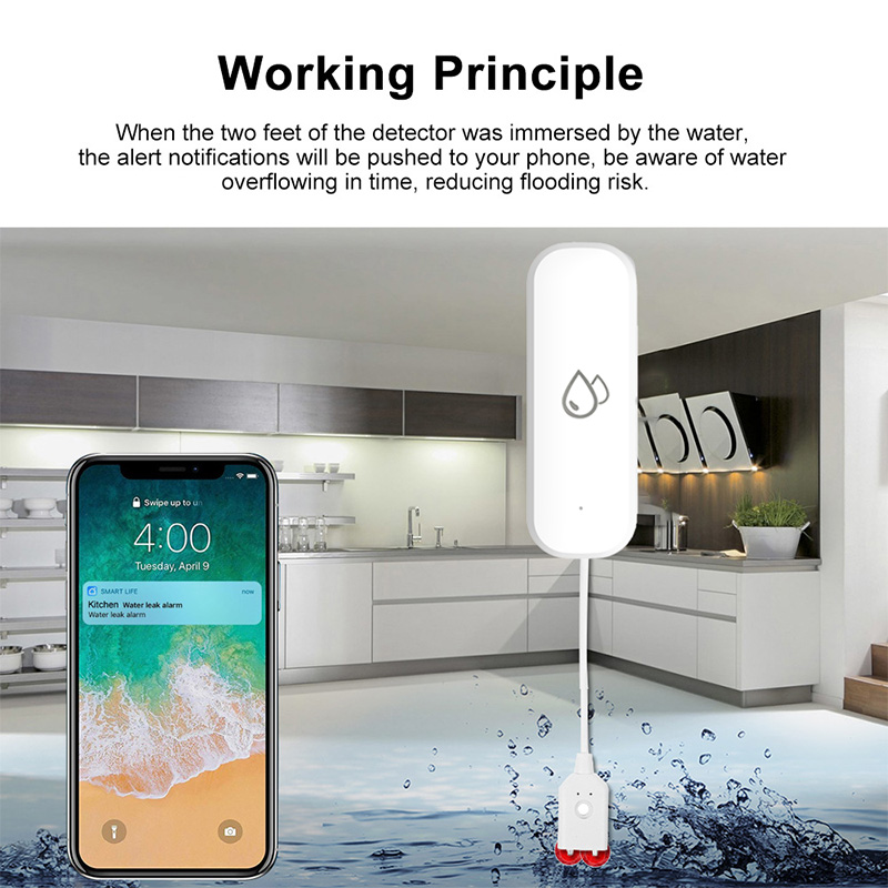 Tuya WiFi Water Leakage Alarm  - Home Cinema Alexa recension och pris